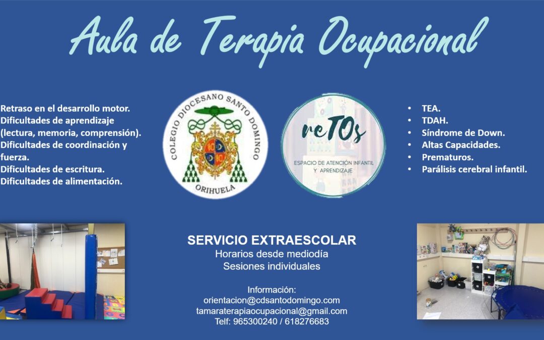 Aula de Terapia Ocupacional en Santo Domingo